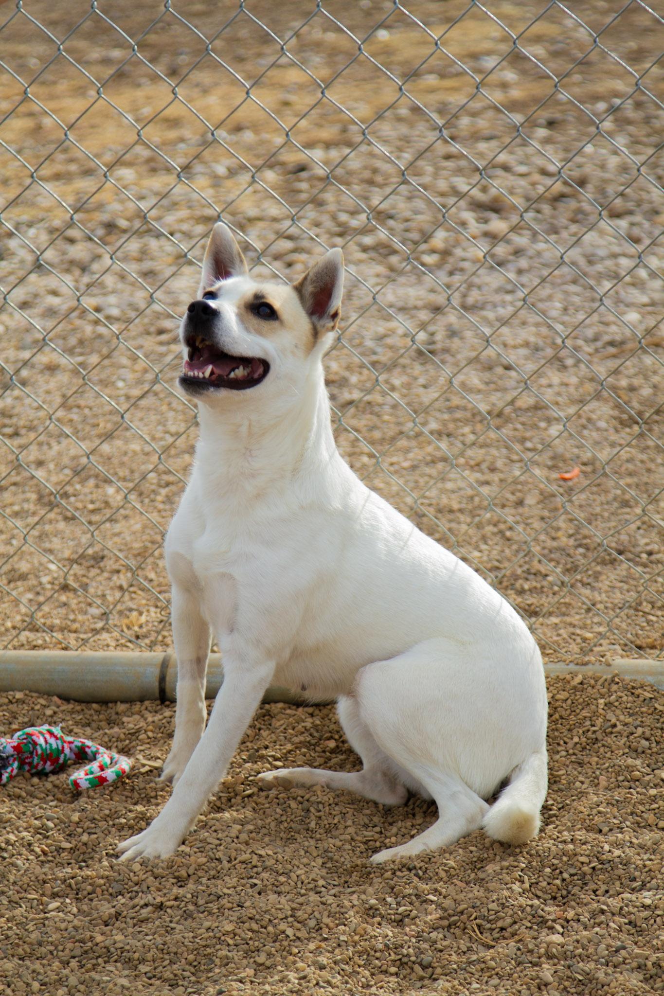 Evangeline — thumbnail 3