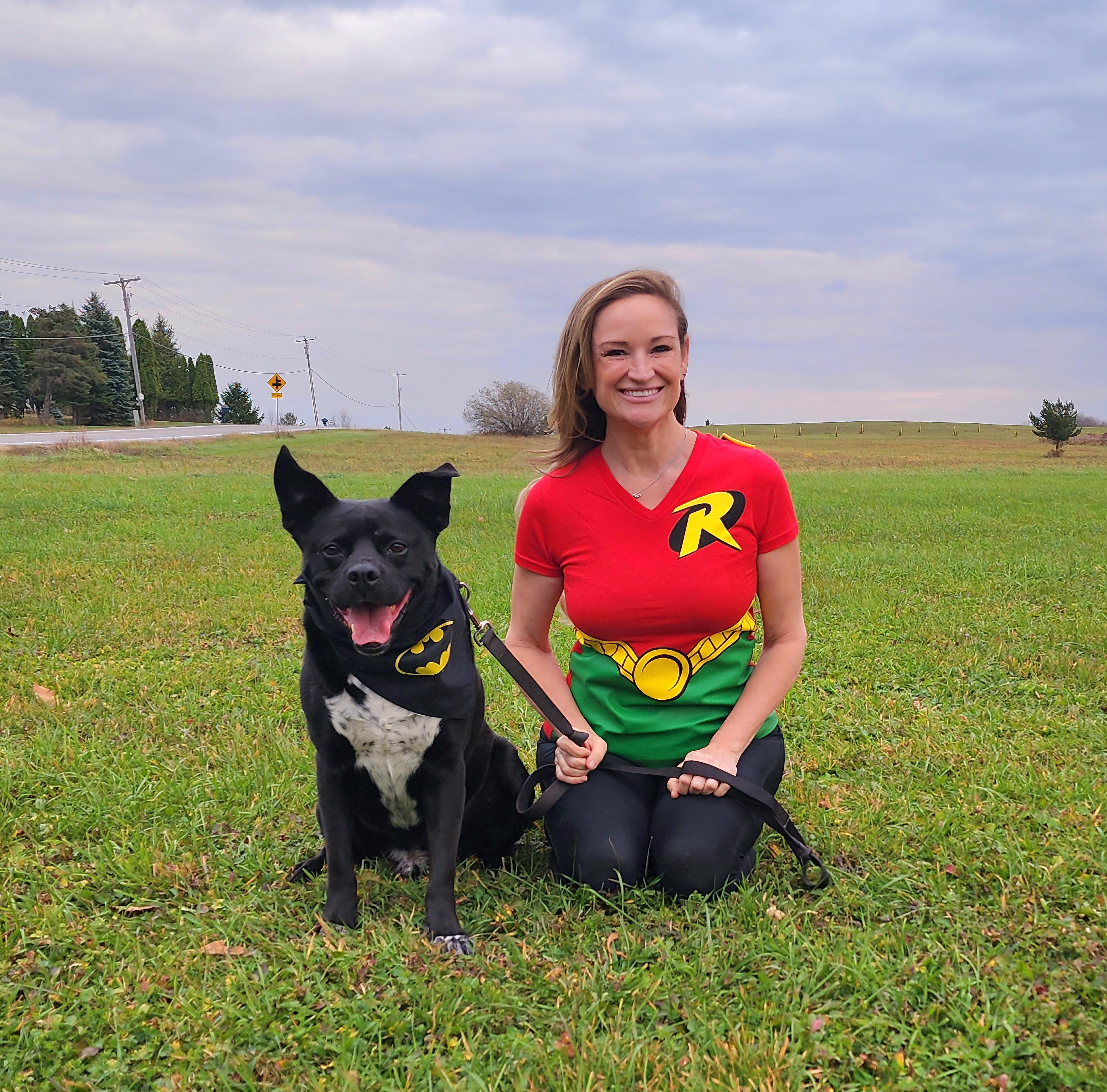 Bruce Wayne, a Adoptable mixed breed in Darien Center, NY image 3/5