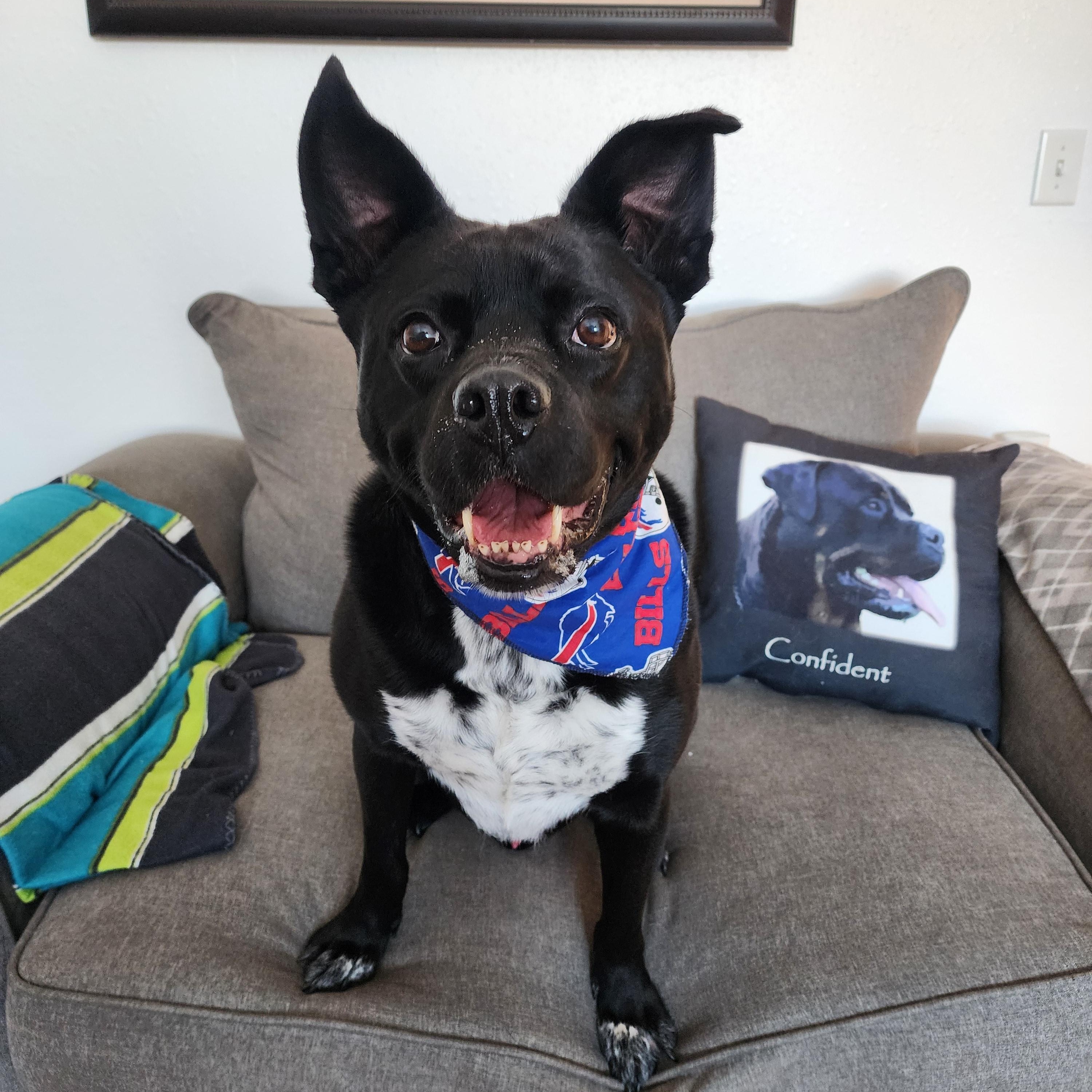 Bruce Wayne