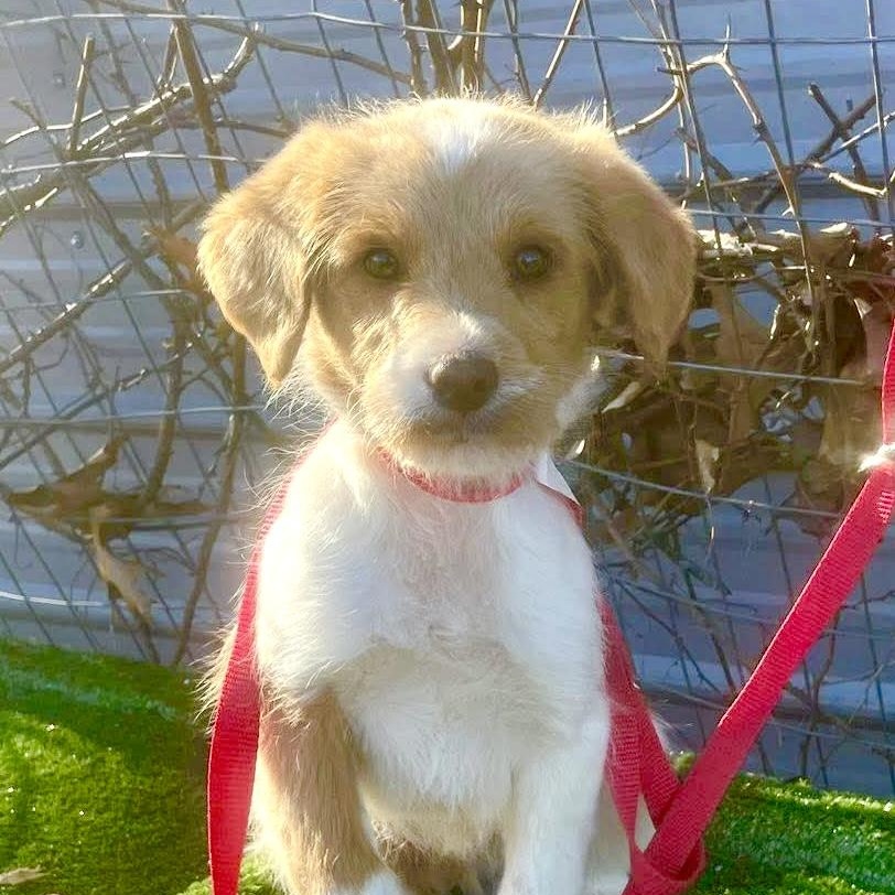 Feldspar thumbnail 2