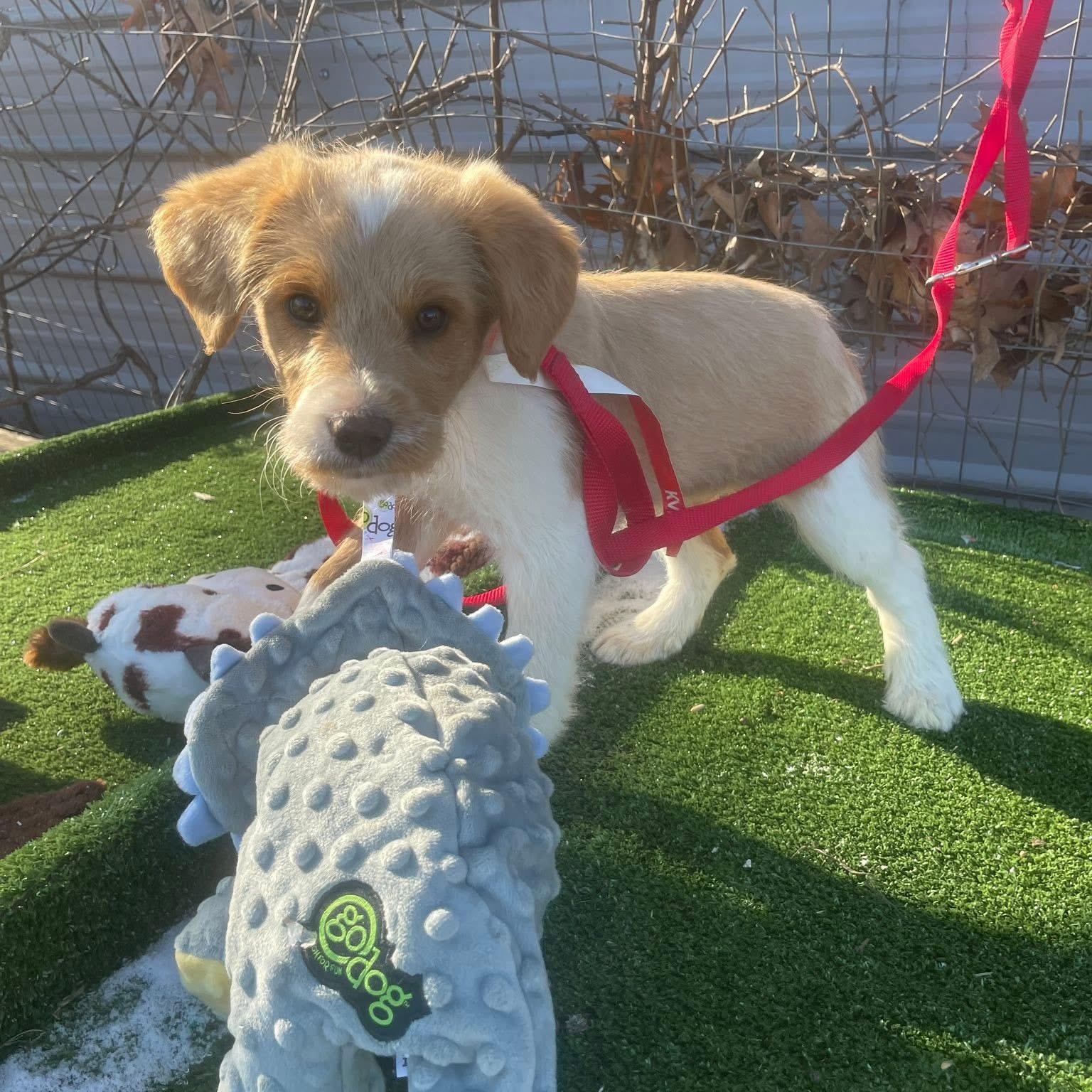 Feldspar thumbnail 5