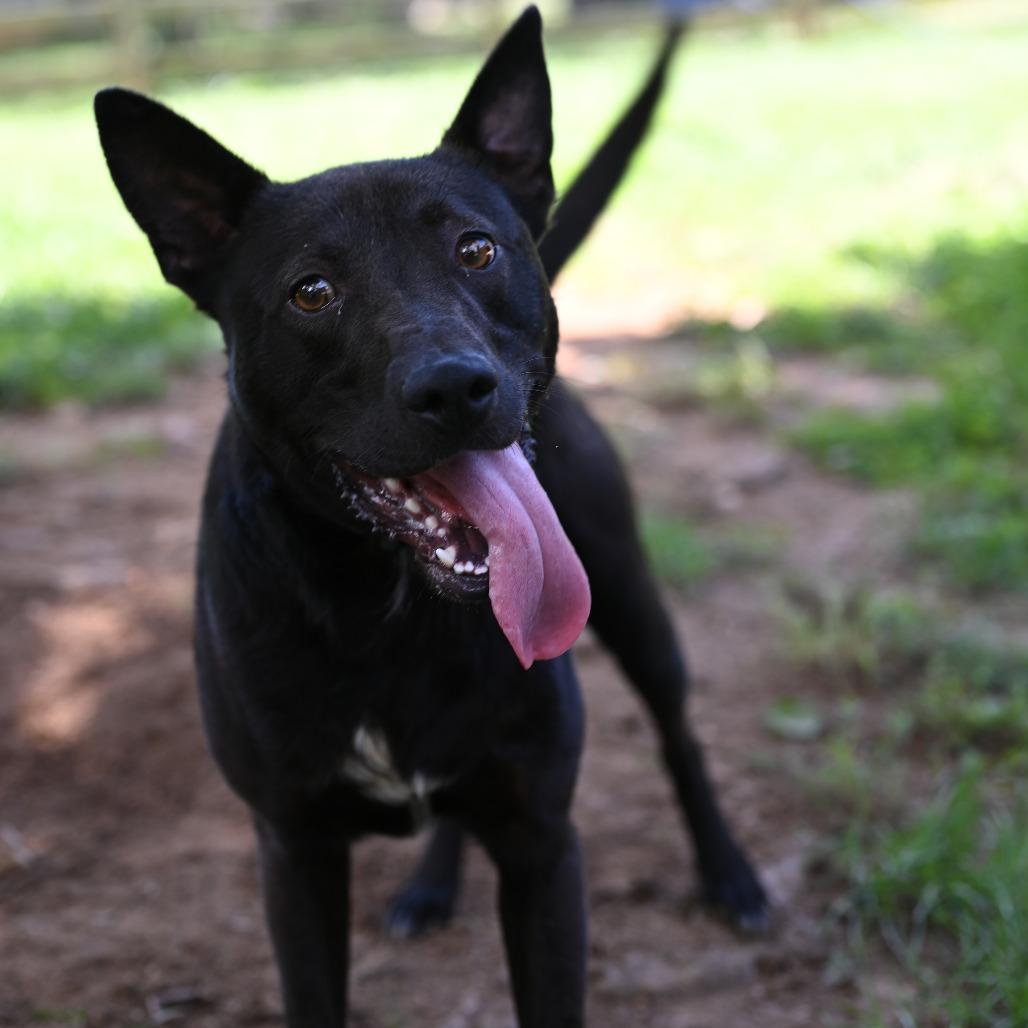 Fetch — thumbnail 5