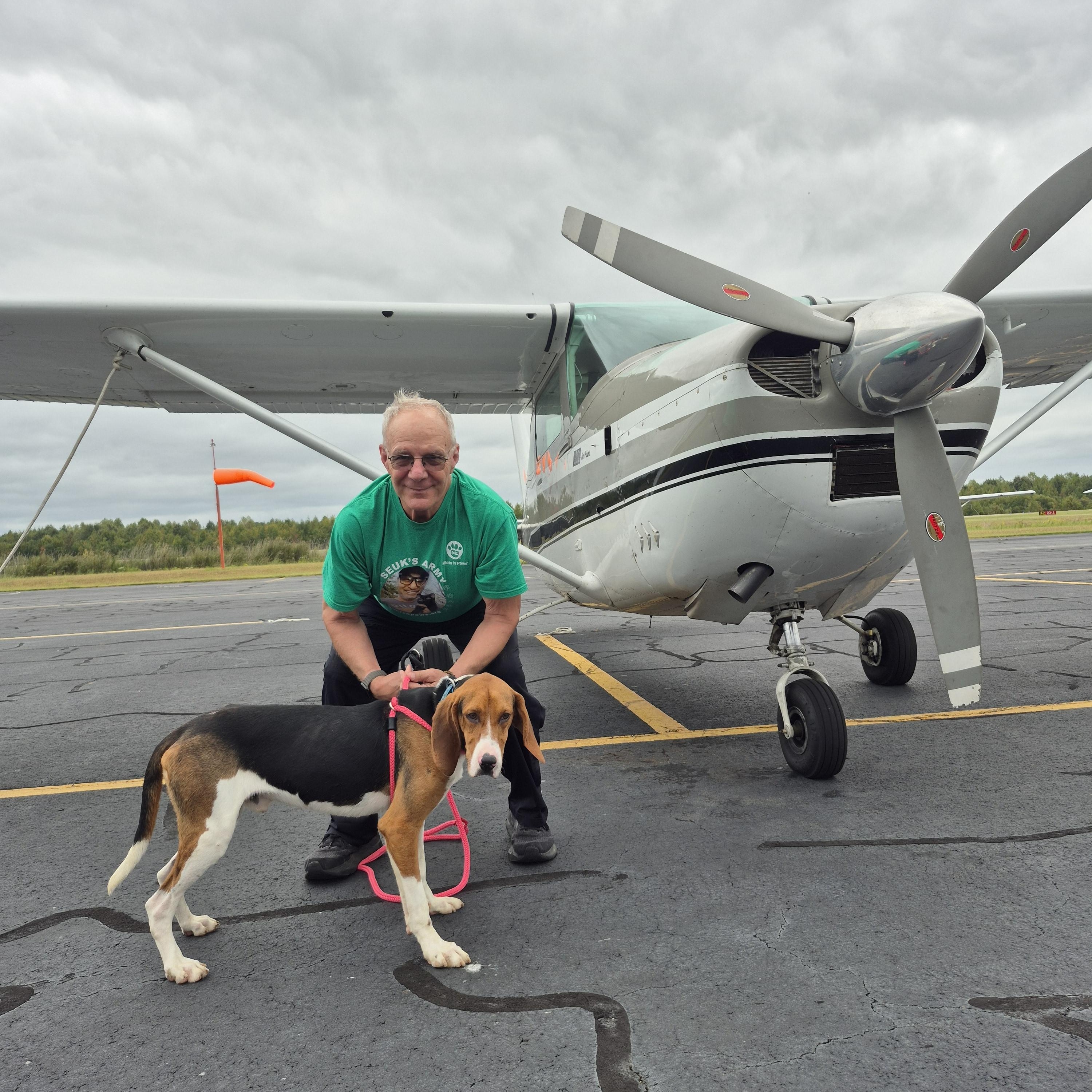 Prince, a Adoptable Treeing Walker Coonhound in Chesapeake, VA image 4/6
