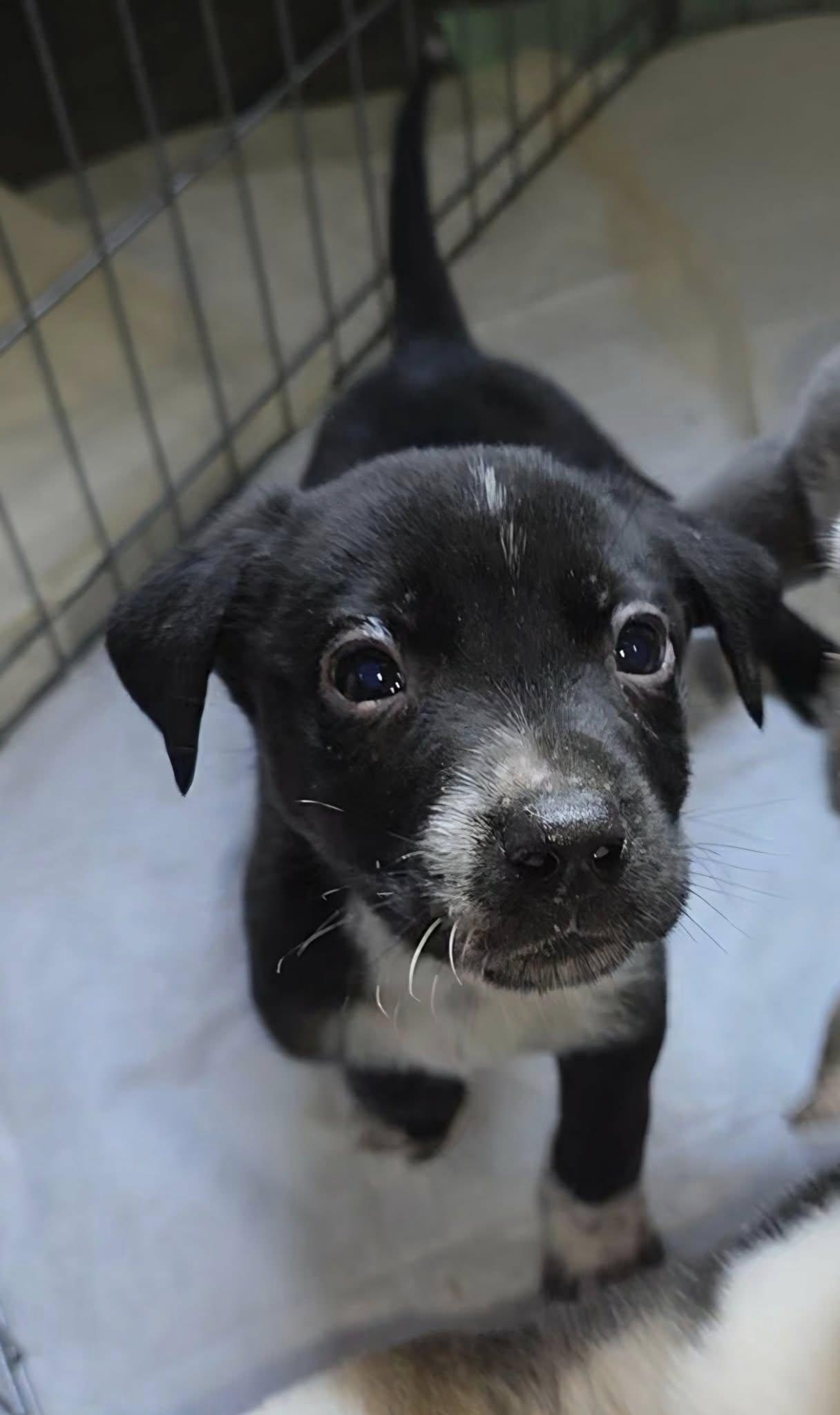 Flint (20260114-04) — thumbnail 3