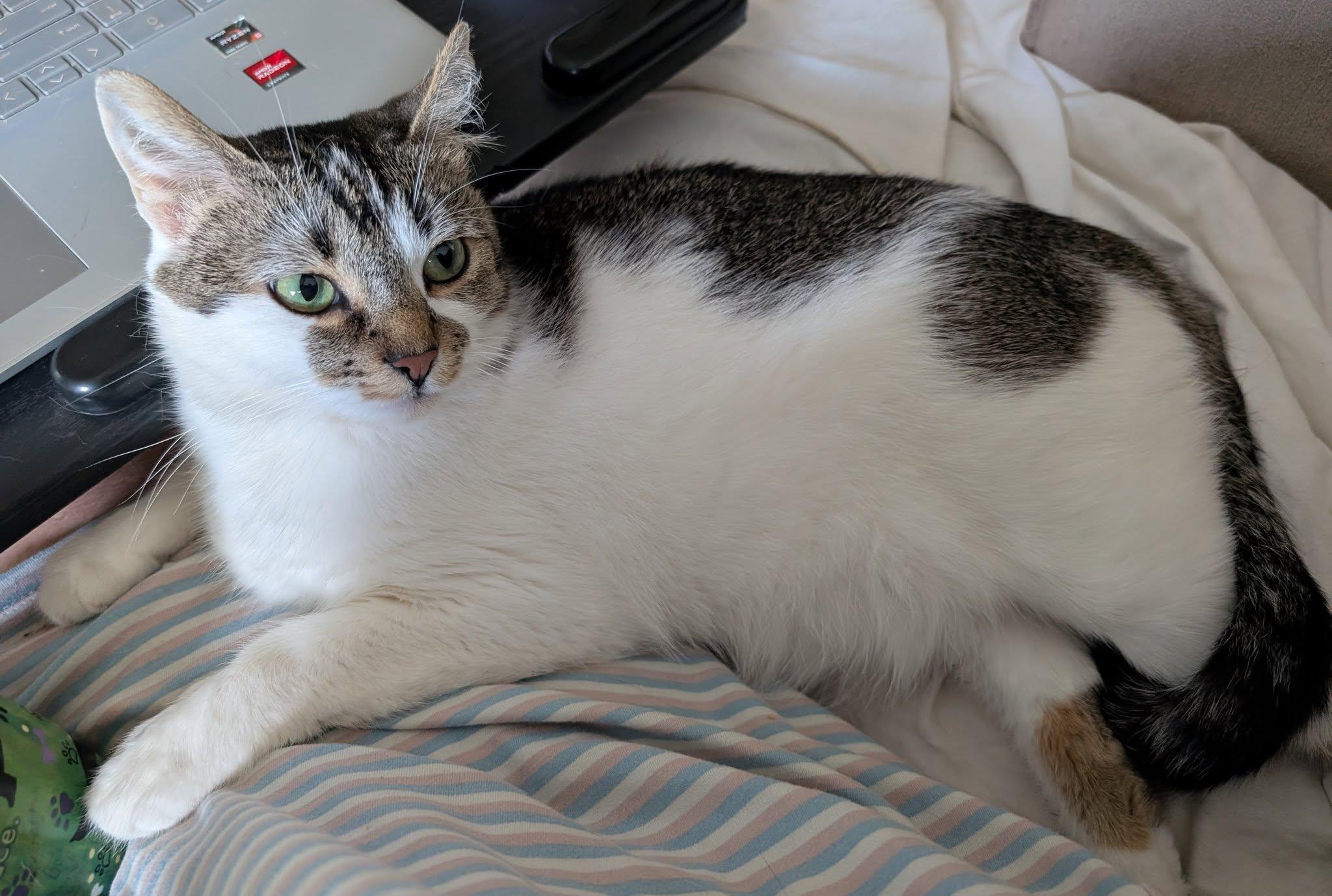 Thumbelina thumbnail 2