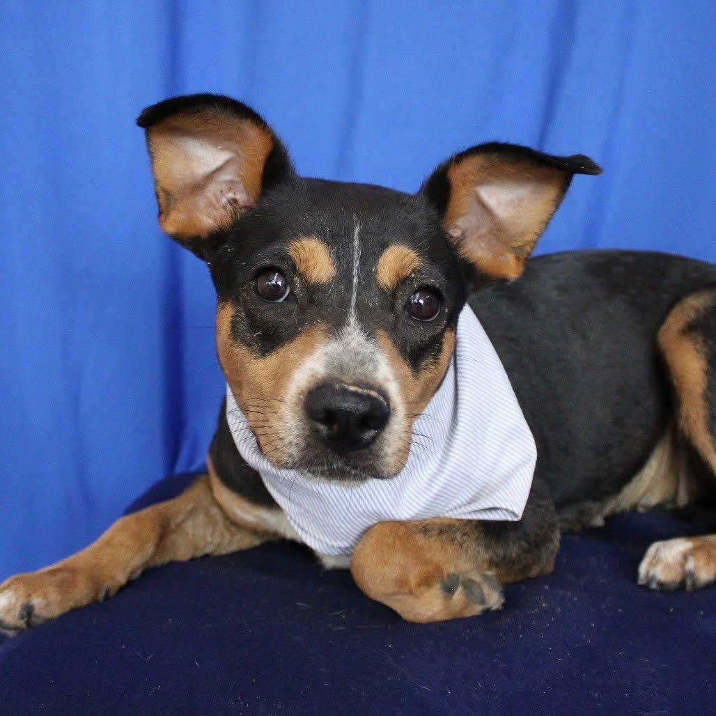 Foster FELICITY!