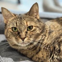 Sugar Mama — thumbnail 2