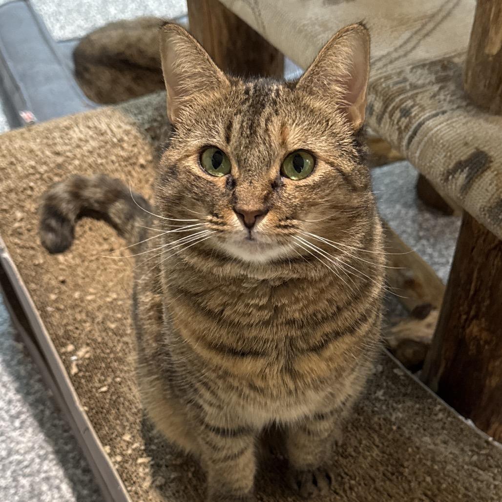 Sugar Mama — thumbnail 4