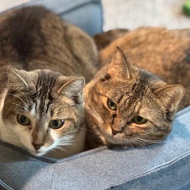 Sugar Mama — thumbnail 5