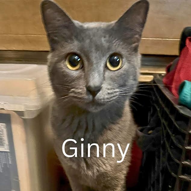Ginny