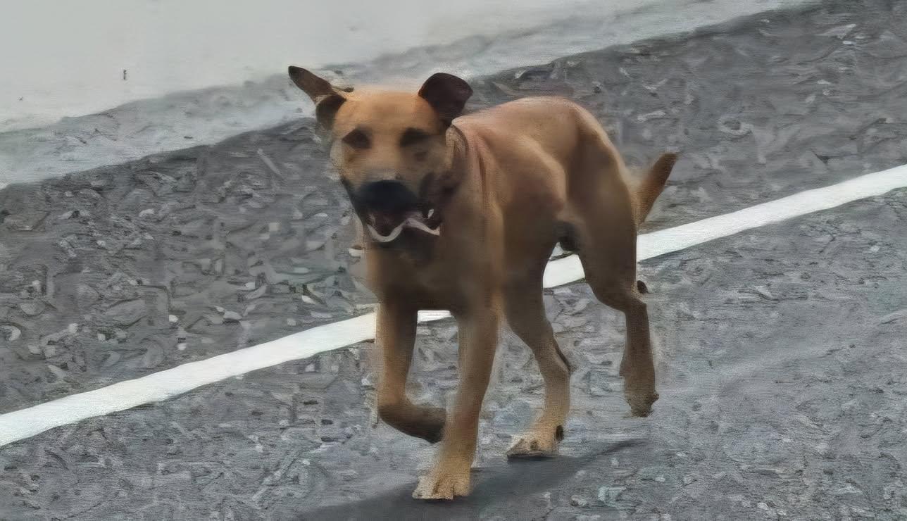 Cash