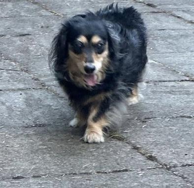 Maude