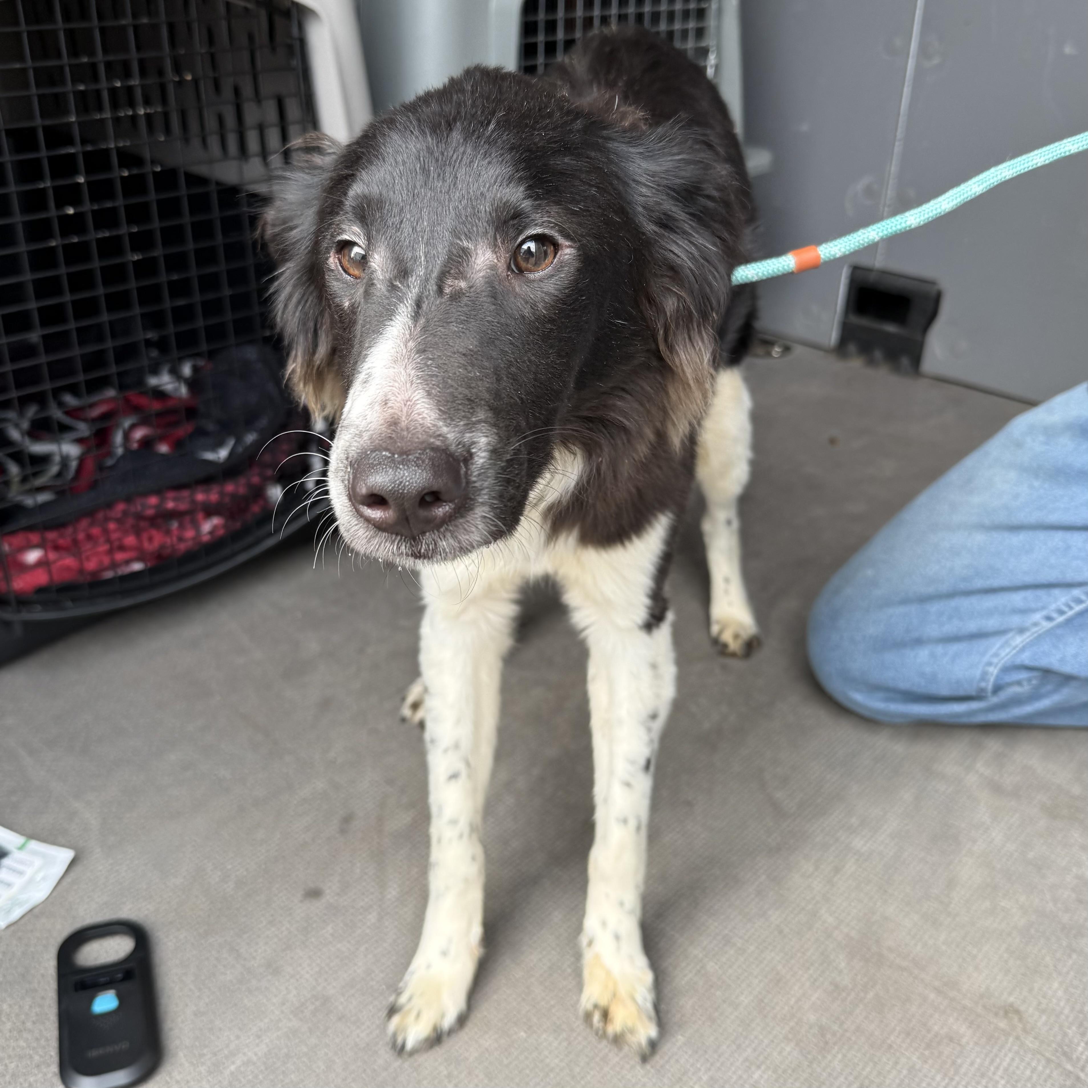 Fage — thumbnail 5