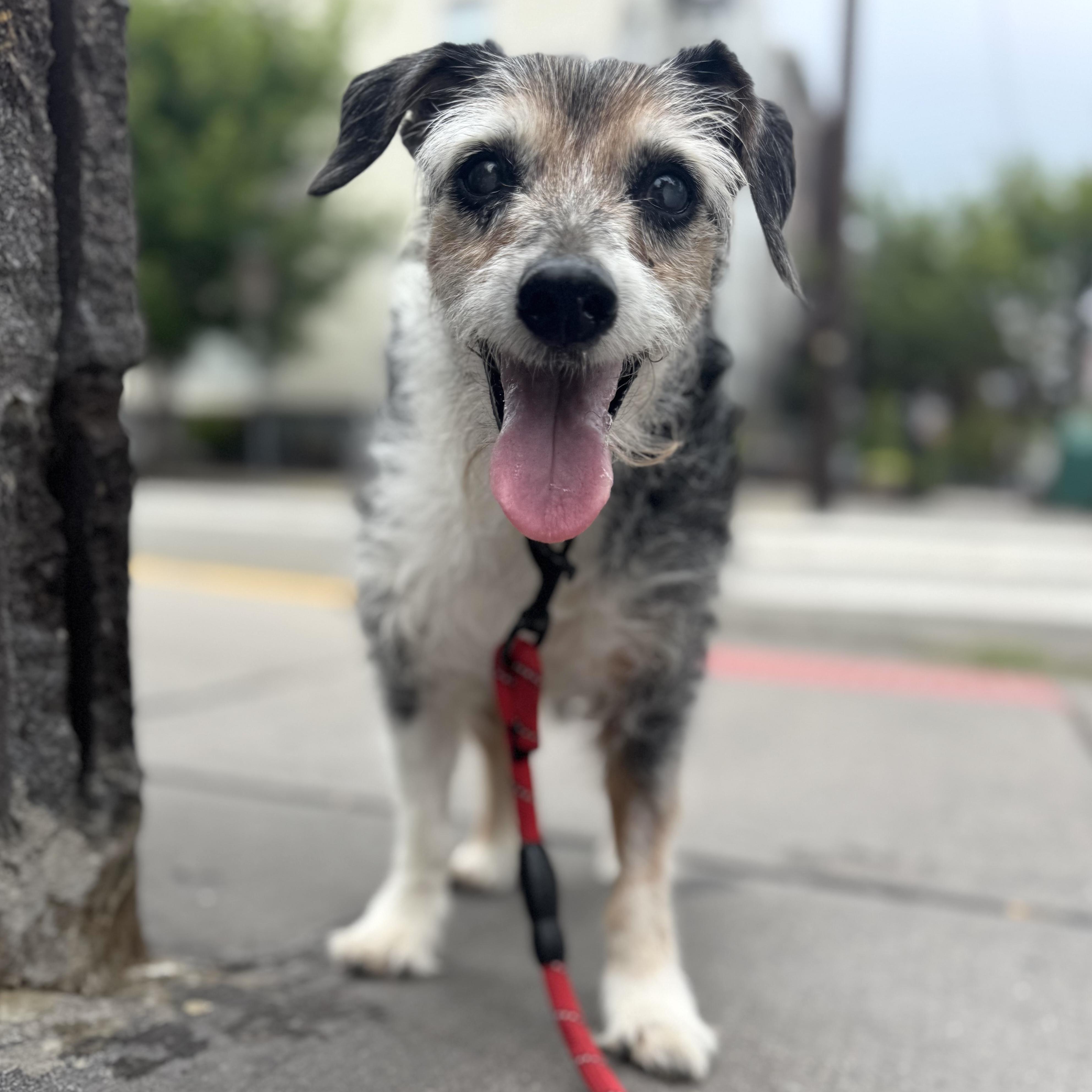 Walter