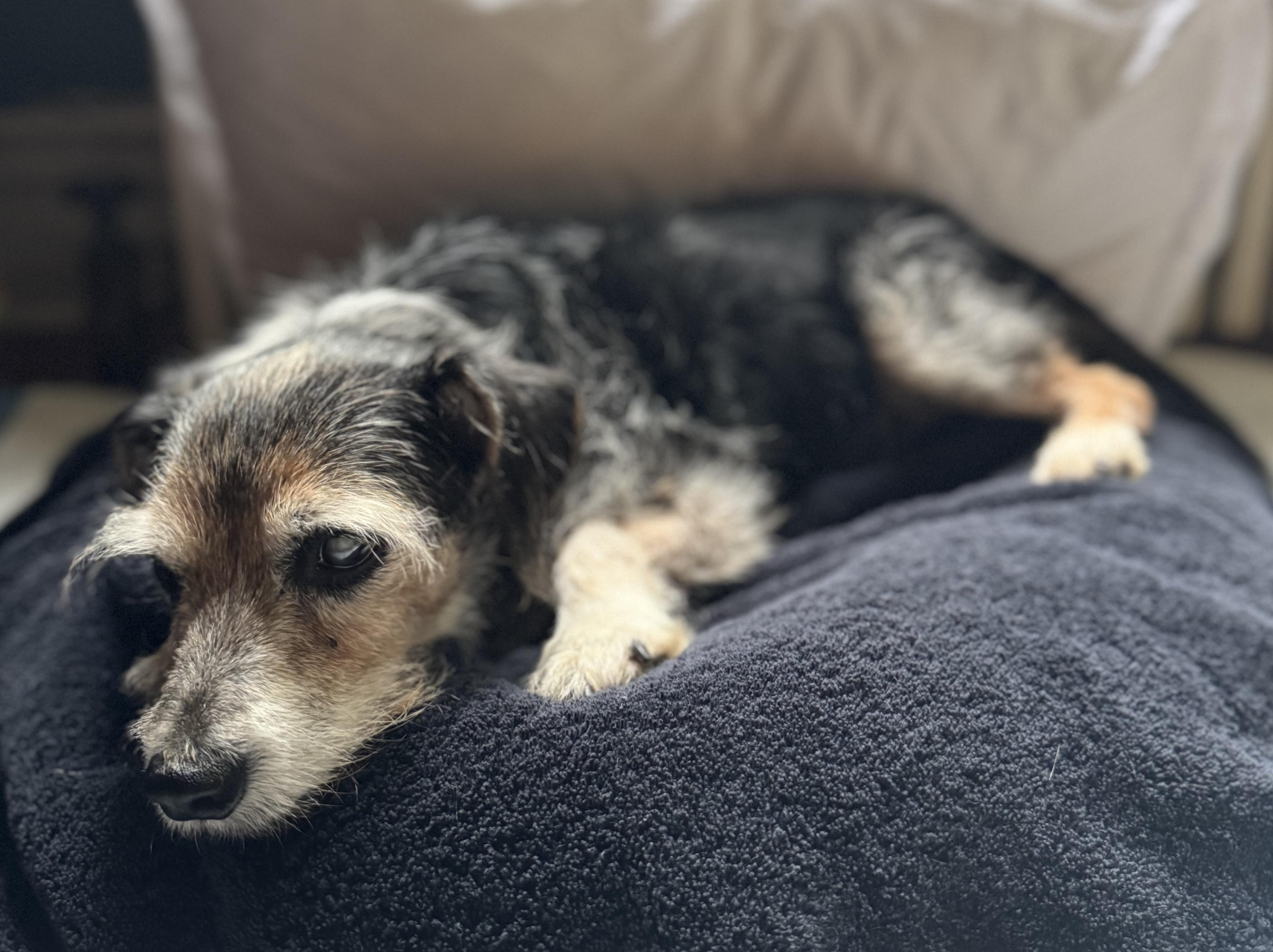 Walter