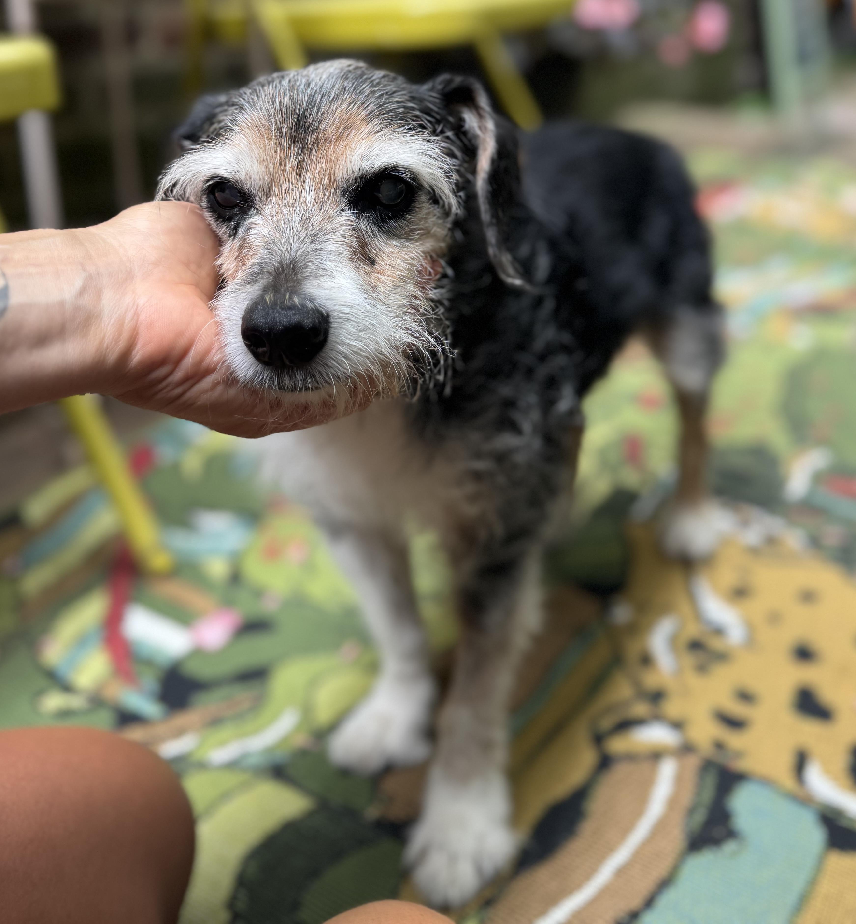 Walter