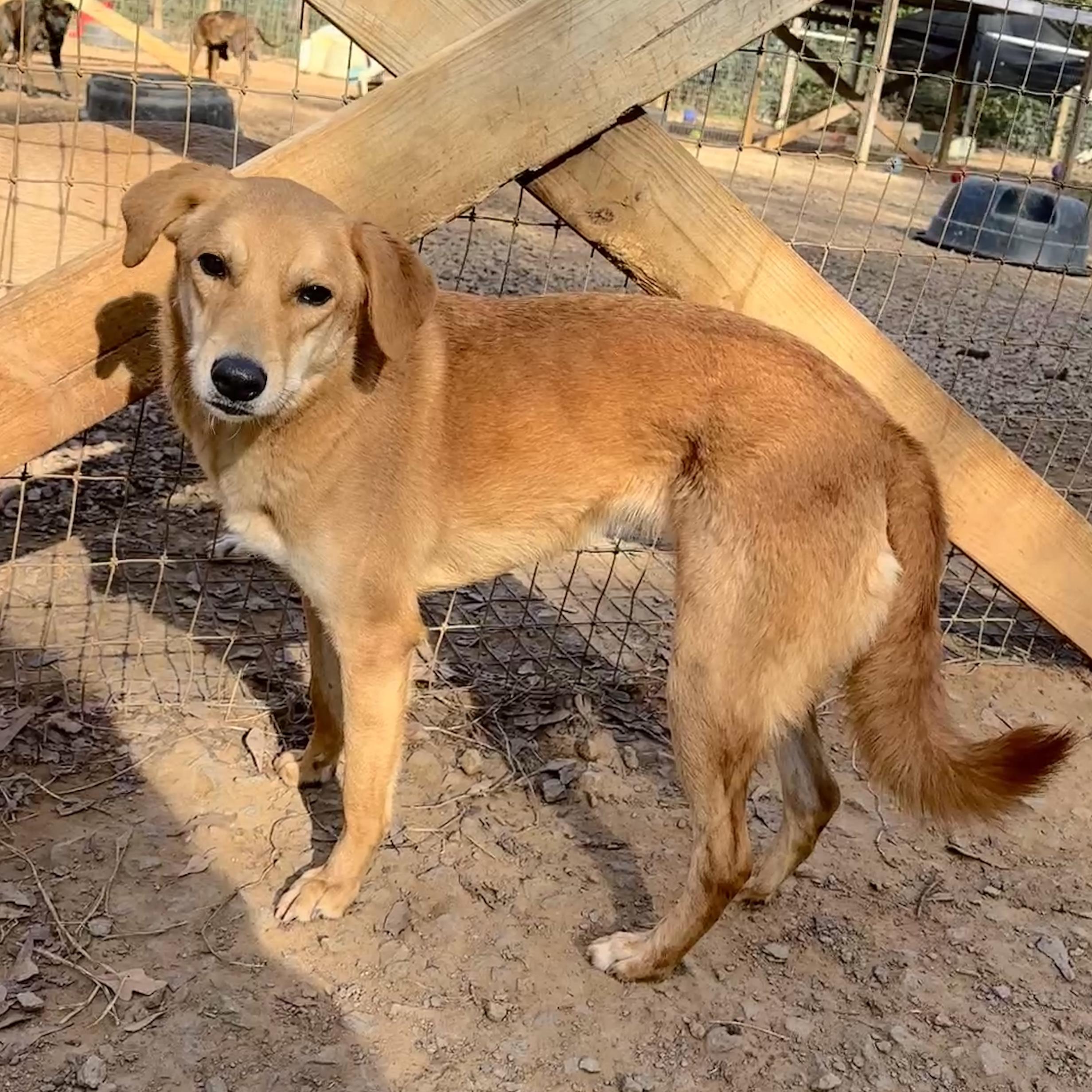 Lyric — thumbnail 2