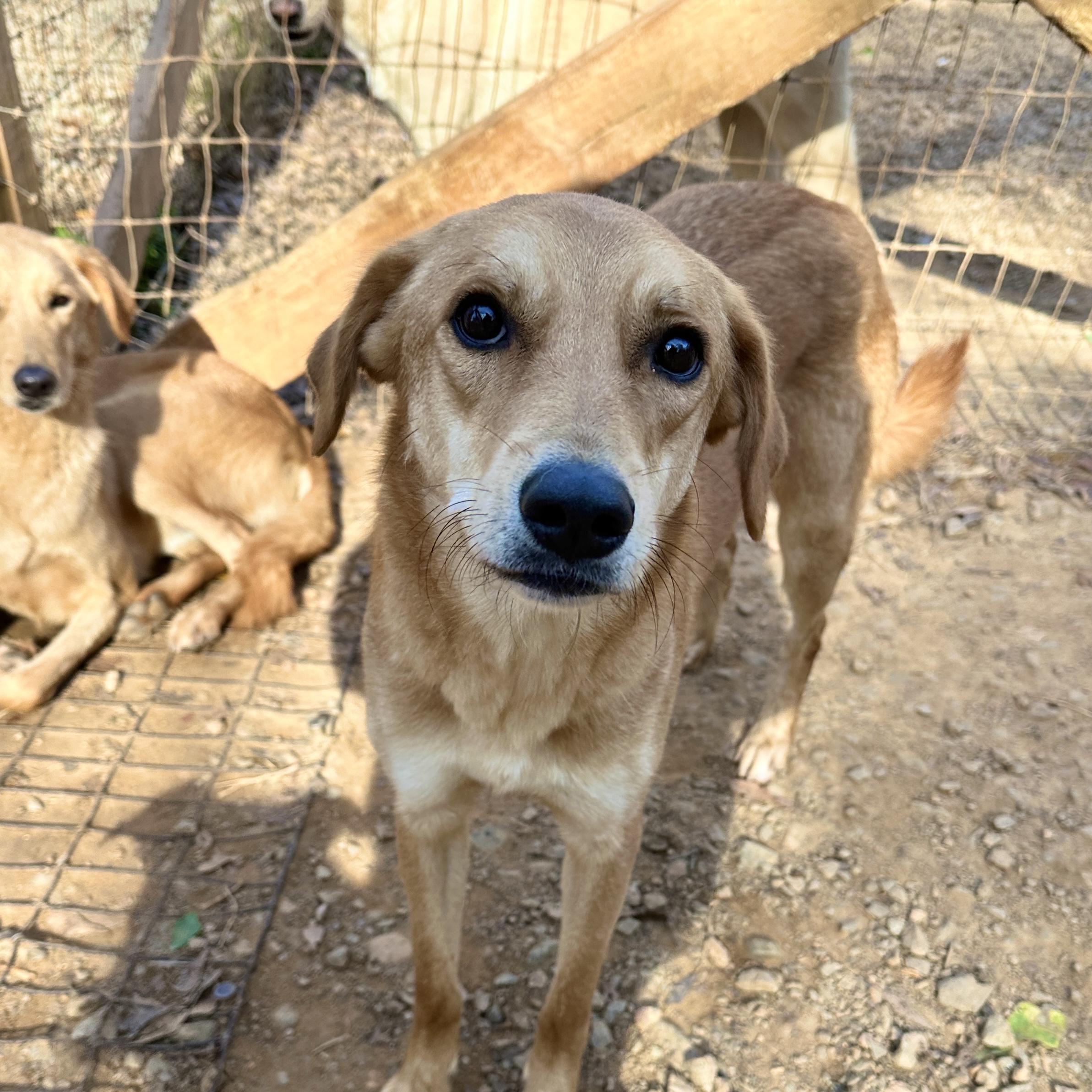 Lyric — thumbnail 4