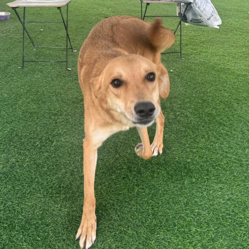 Lyric — thumbnail 5