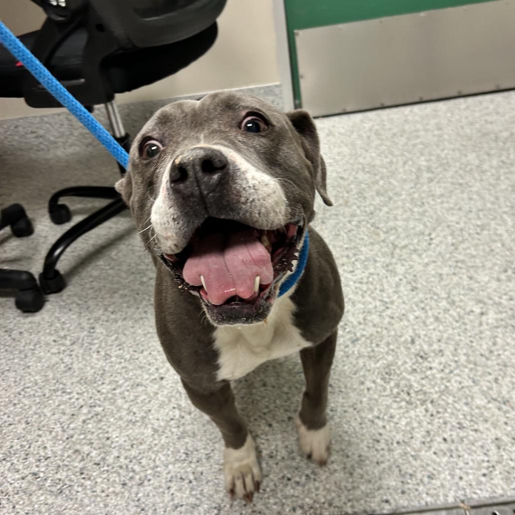 Nala — thumbnail 2