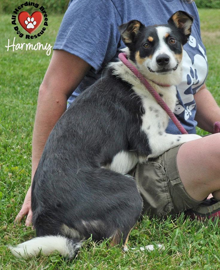 Harmony, Young Female unknown