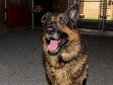 SAVE ME PLEASE! TITAN -ID#A543513