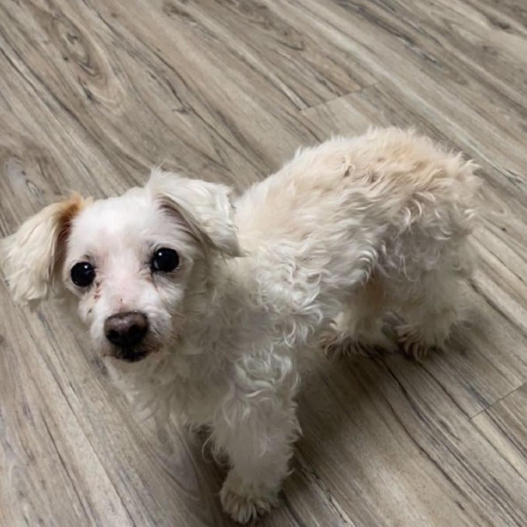 Owen James — thumbnail 2