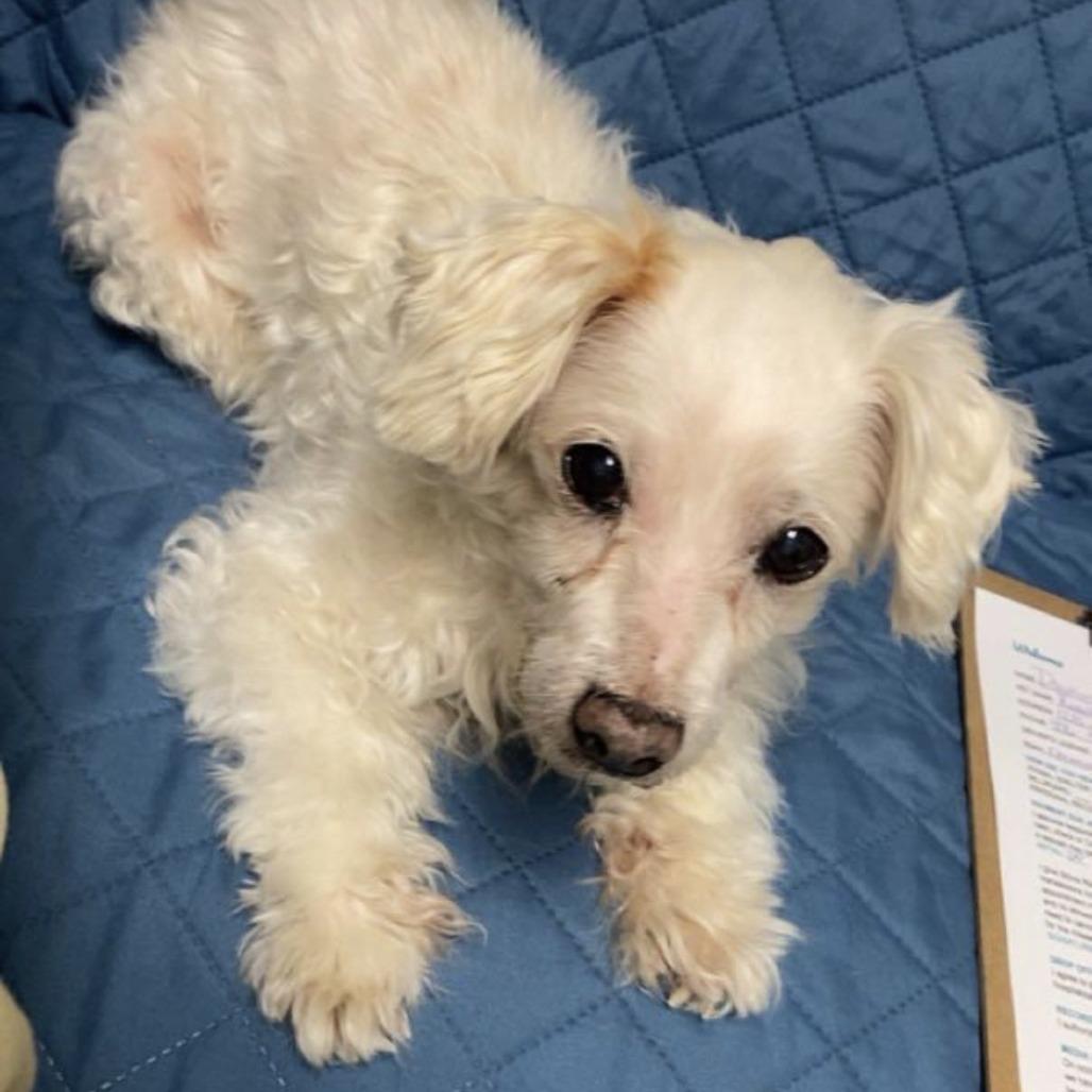 Owen James — thumbnail 3