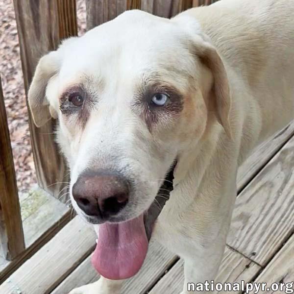 Princess in TN - An Active Sweetheart!