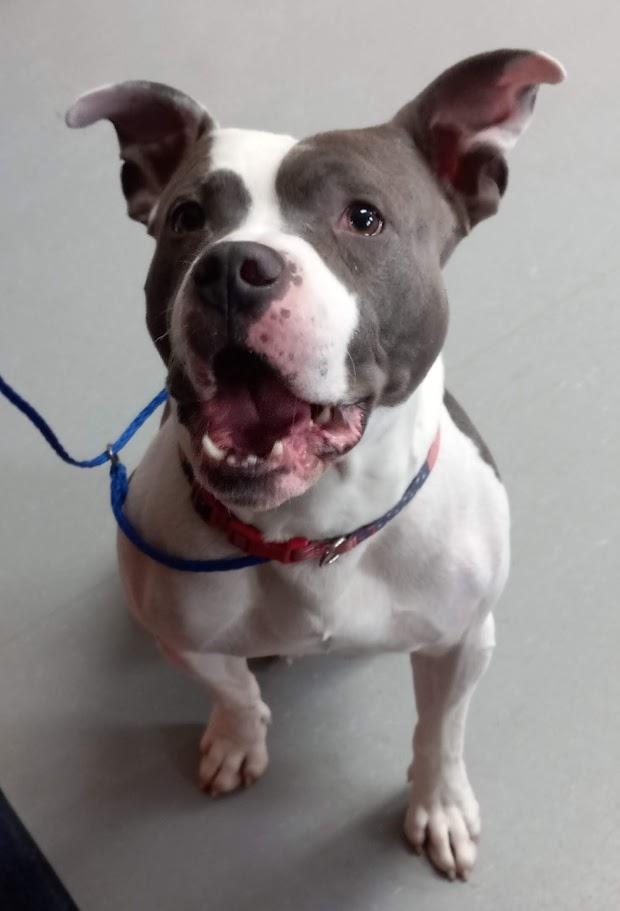 Bubby — thumbnail 4