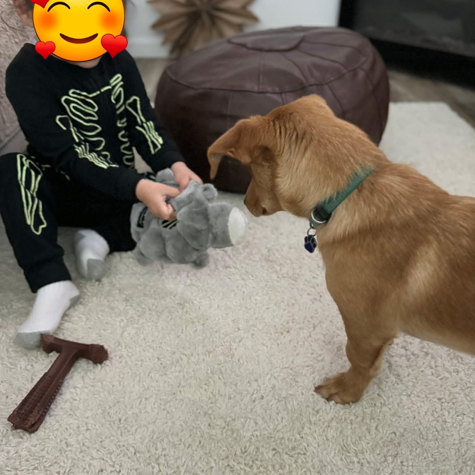 Enlarge Lucky, a Adoptable mixed breed in Pleasanton, CA image 4/5