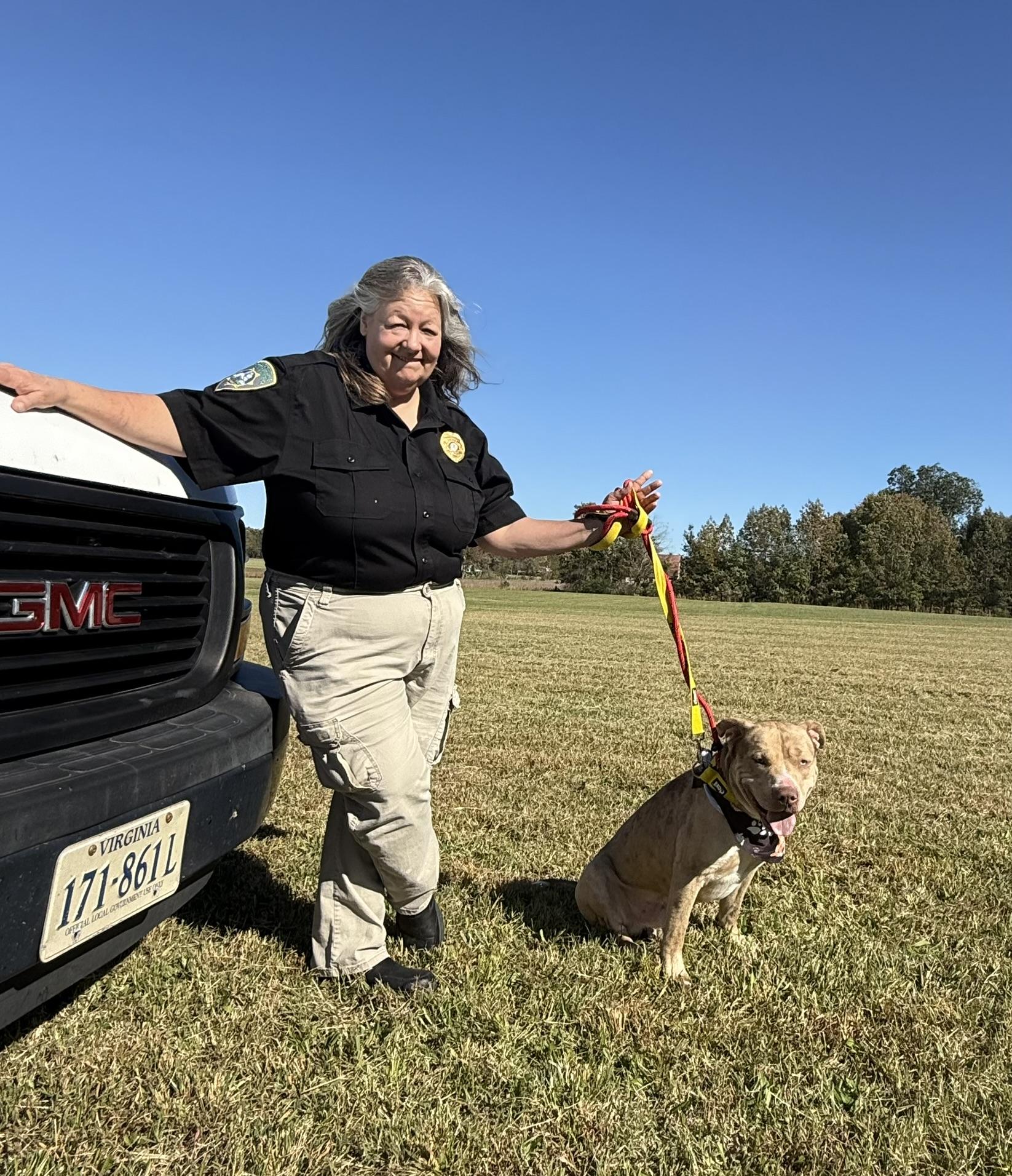 Enlarge Loyal, a Adoptable mixed breed in Petersburg, VA image 2/6