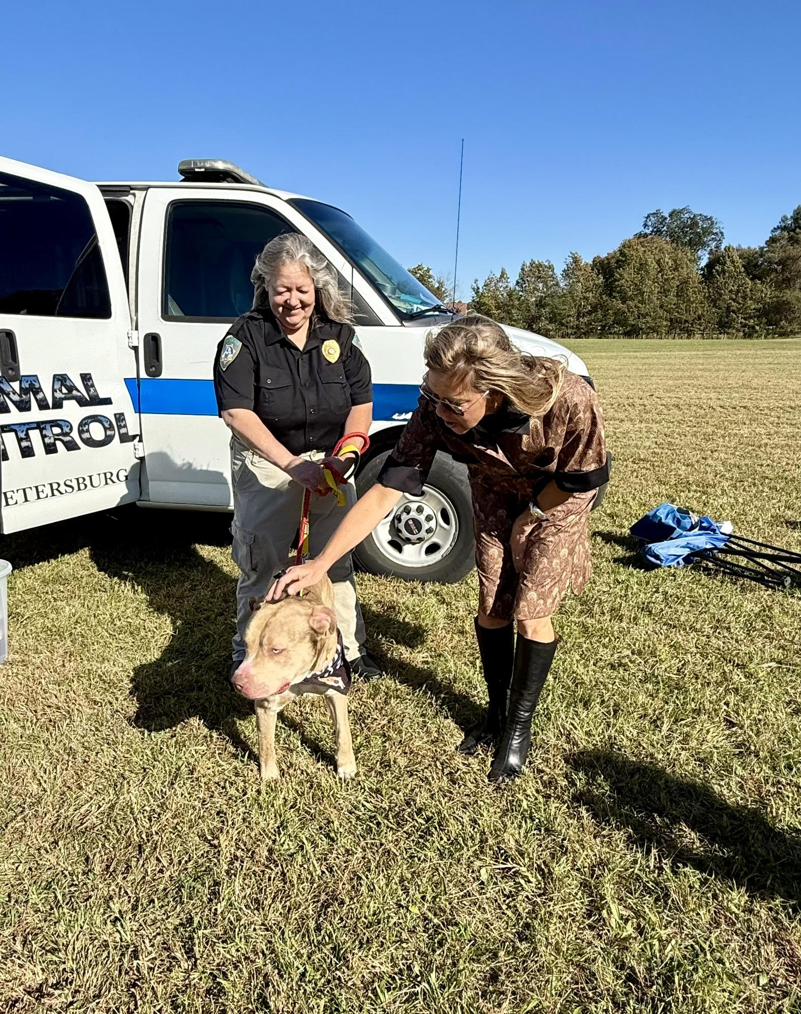 Enlarge Loyal, a Adoptable mixed breed in Petersburg, VA image 6/6
