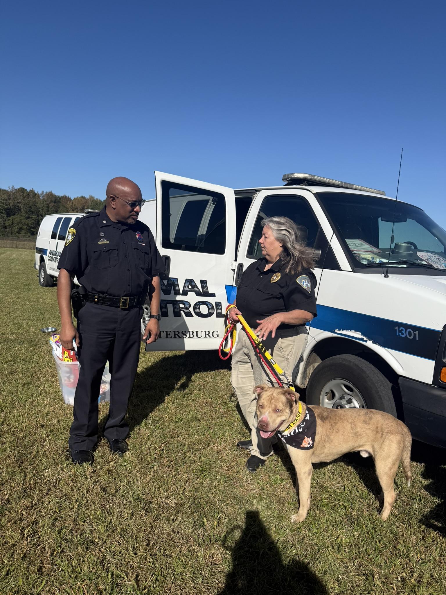 Enlarge Loyal, a Adoptable mixed breed in Petersburg, VA image 4/6
