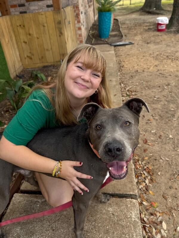 Rex Loves Toys — thumbnail 2