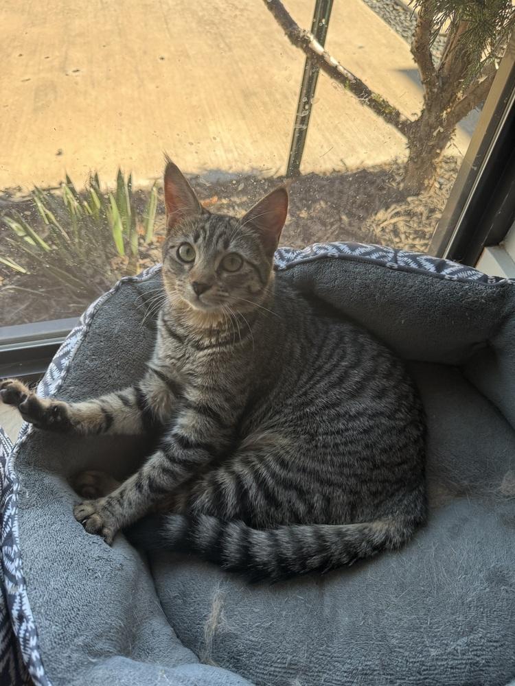 Ears (Sue) — thumbnail 5