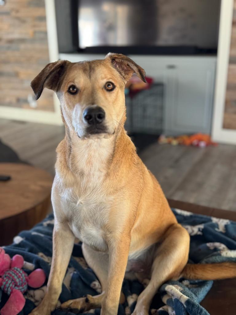 Max (FNA Randall) — thumbnail 3