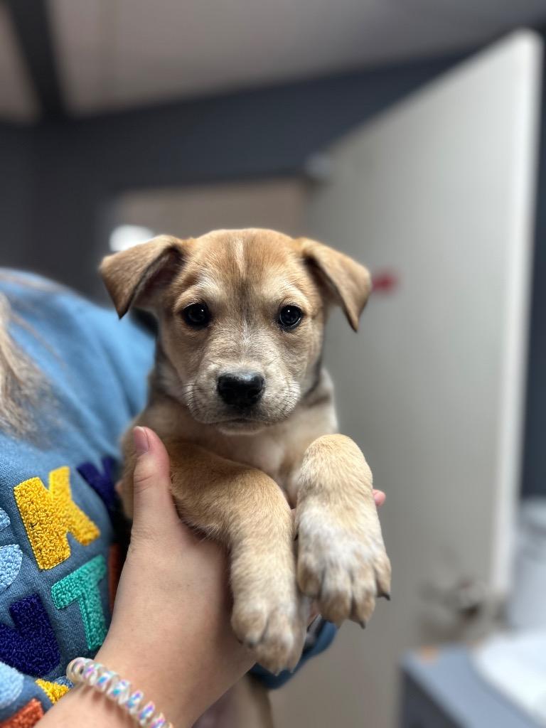 Max (FNA Randall) — thumbnail 5