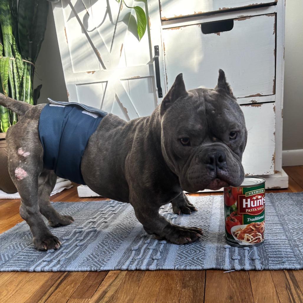 Rhino — thumbnail 5