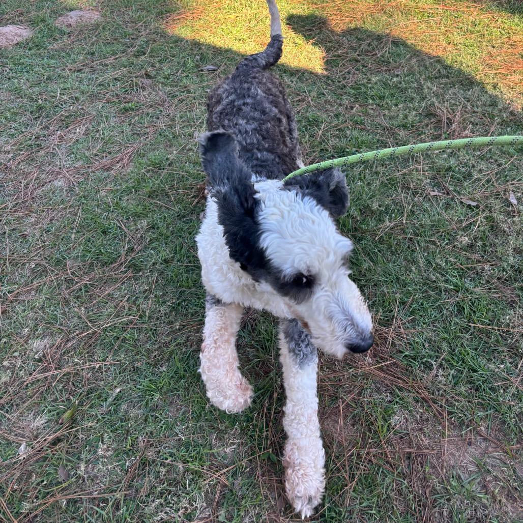 Macy Gray thumbnail 2