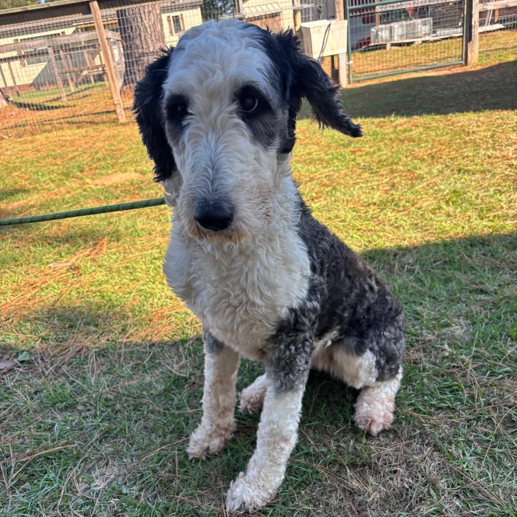 Macy Gray thumbnail 3