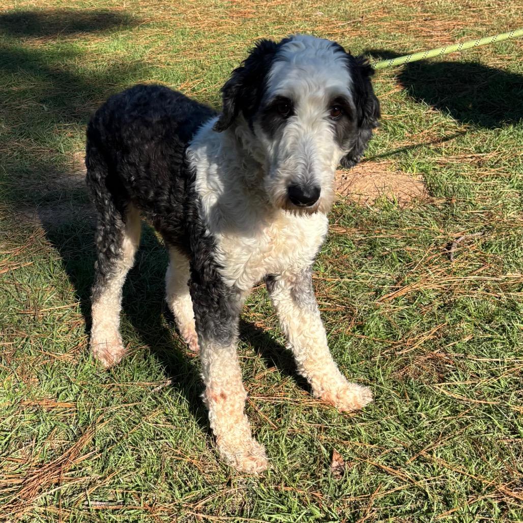 Macy Gray thumbnail 4