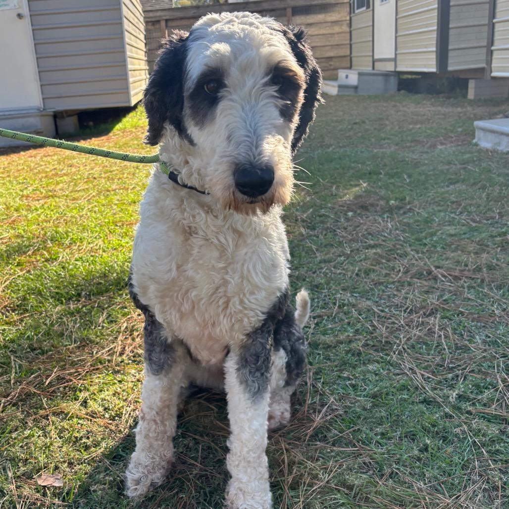 Macy Gray thumbnail 5