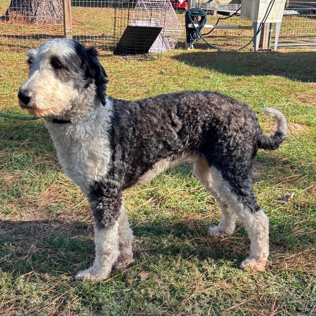 Macy Gray thumbnail 6