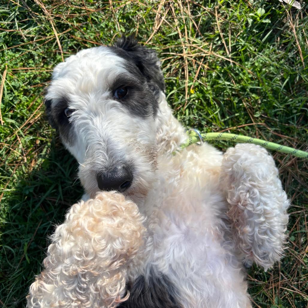 Macy Gray thumbnail 7