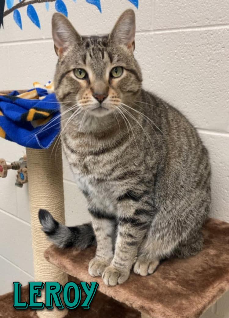 Leroy