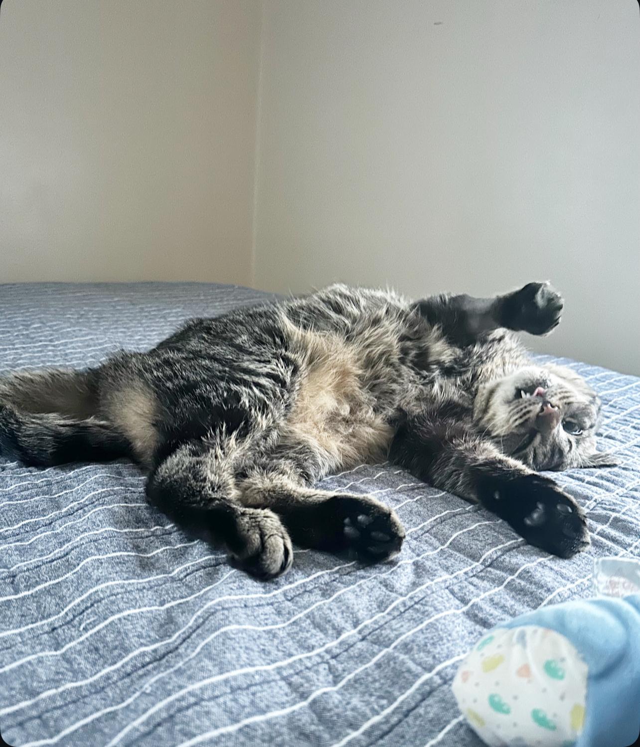 Jeffrey