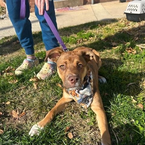 Root Beer Float thumbnail 3