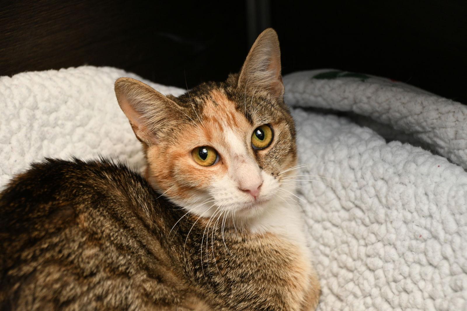 Lucille photo