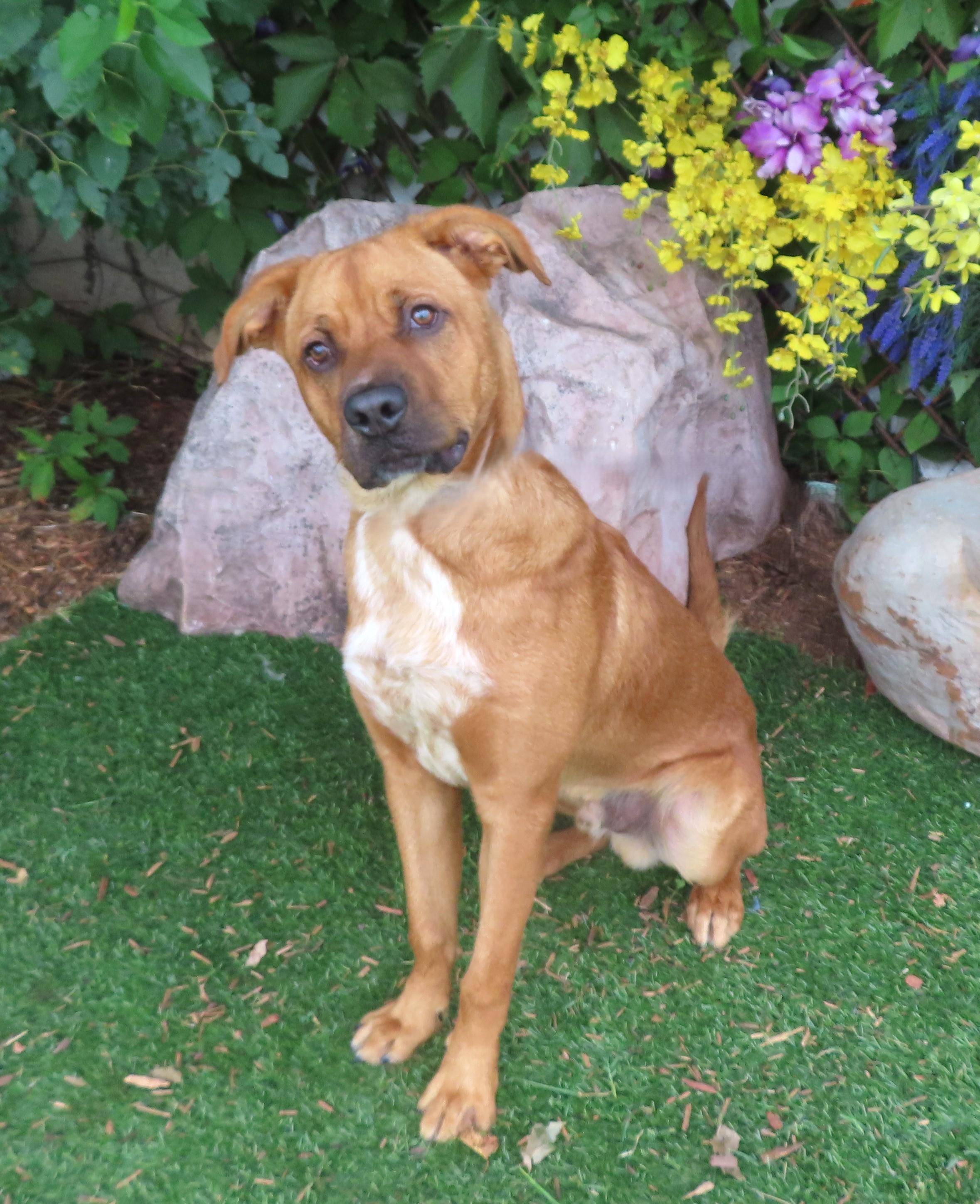 DIESEL 457944 RoughStart,NeedsHappyEnding